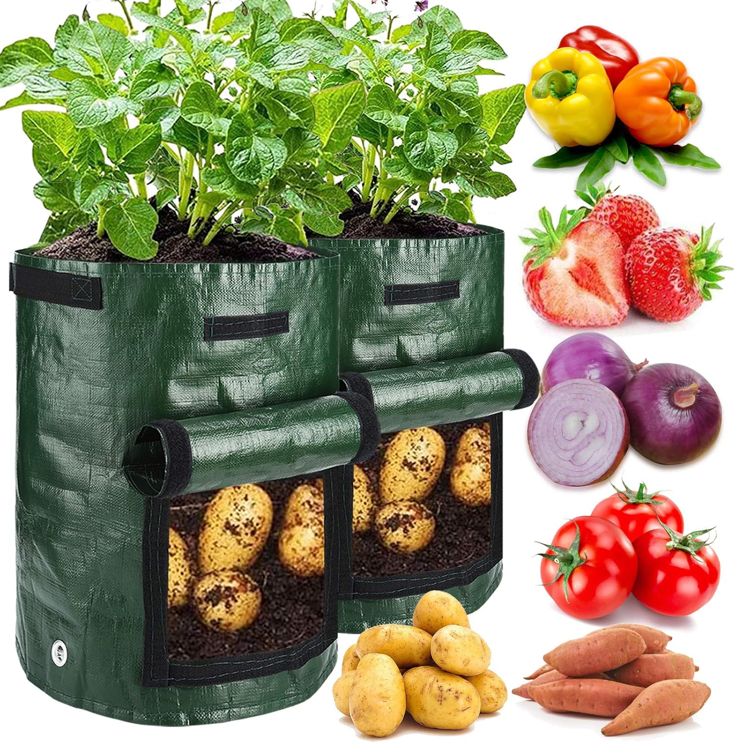 Potato Grow Bags, 4 Pack 10 Gallon with Flap and Handles Planter Pots for Onion, Fruits, Tomato, Carrot - Green