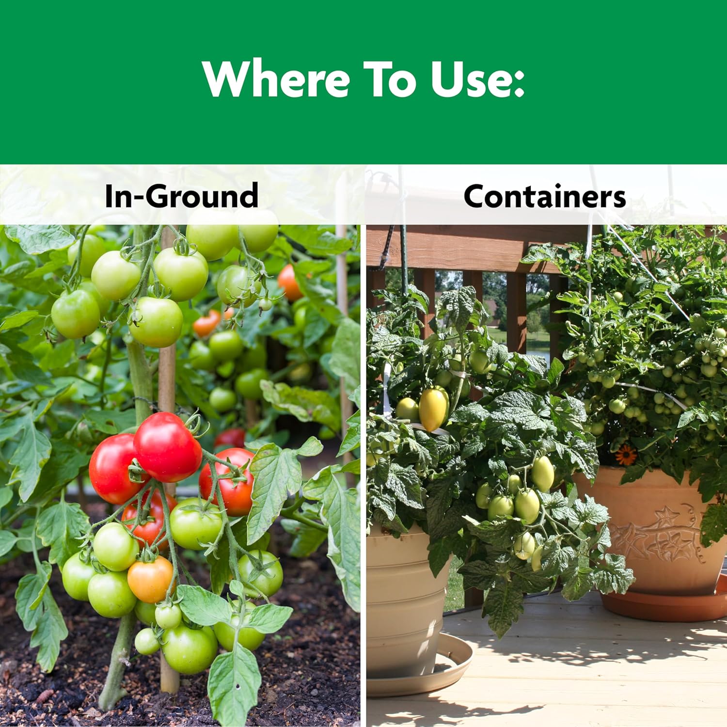 Shake 'N Feed Tomato, Fruit and Vegetable Plant Food, for In-Ground and Container Plants, Feeds up to 3 Months, 1 Lb.