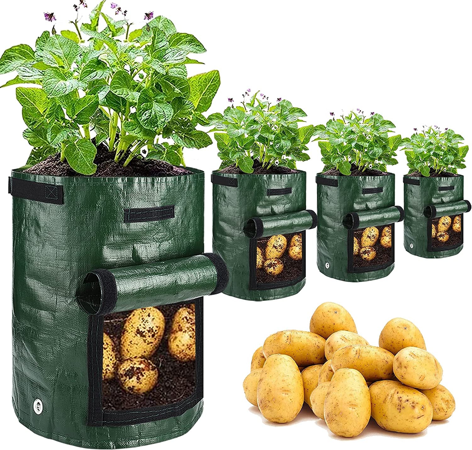 Potato Grow Bags, 4 Pack 10 Gallon with Flap and Handles Planter Pots for Onion, Fruits, Tomato, Carrot - Green